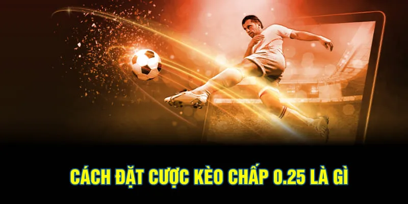 Cách đặt cược kèo chấp 0.25 là gì