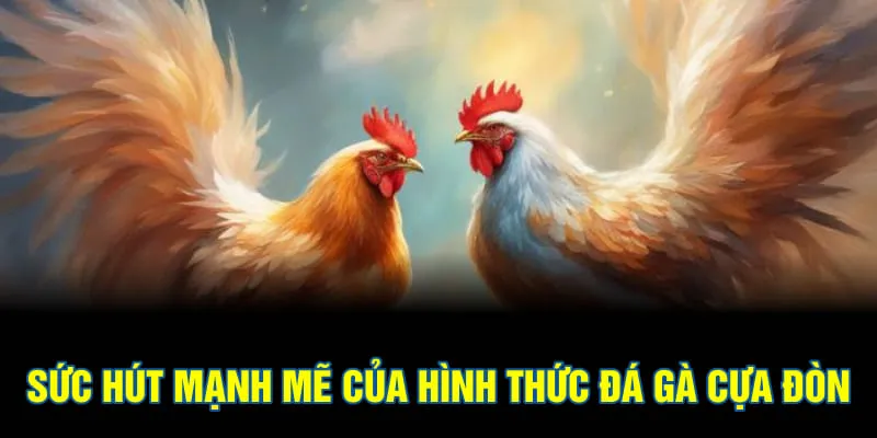 Sức hút mạnh mẽ của hình thức đá gà cựa đòn